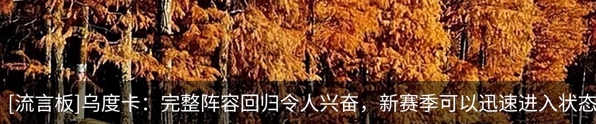 资讯中心
